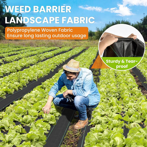 6x300ft Heavy Duty Weed Barrier Landscape Fabric 3.2oz Woven Geotextile Ground Cover installed in vegetable garden