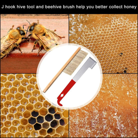 Beekeeping Starter Kit With J Hook Hive Tool, Beehive Brush, Frame Lifter And Scraper, beeswax with honey and bees in background