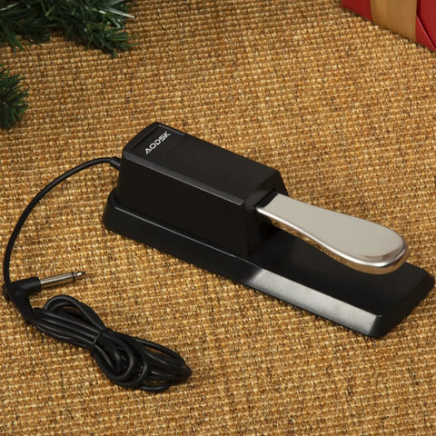 Universal Sustain Pedal For Digital Pianos, Electronic Keyboards, MIDI Keyboards, And Synthesizers With Polarity Switch And One Quarter Inch Input Plug, Durable Foot Pedal For Stage And Studio Use on woven surface