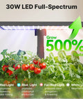 Indoor Hydroponics Growing System With 20 Pods And 12 Support Sticks 30W LED Grow Light above tomatoes and greens.