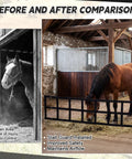 Before and after comparison of horse stall with Dang Solid 12 By 20 Foot Polyester Horse Stall Guard featuring no sweat adjustable straps.