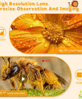 Kid-Friendly 1000X Handheld Digital Microscope With 2 Inch HD IPS Screen, Portable Mini Camera For Exploring Nature, Educational Science Toy Gift For 3-12 Year Old Kids showing flower and bee close-ups