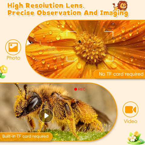 Kid-Friendly 1000X Handheld Digital Microscope With 2 Inch HD IPS Screen, Portable Mini Camera For Exploring Nature, Educational Science Toy Gift For 3-12 Year Old Kids showing flower and bee close-ups