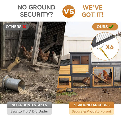 Comparison of wooden chicken coop security with and without ground stakes, showing predator resistance with 6 ground anchors.
