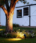 Low Voltage Landscape Spotlights Pro-Grade 50W Halogen Outdoor Garden Lights illuminating tree and flowers at night