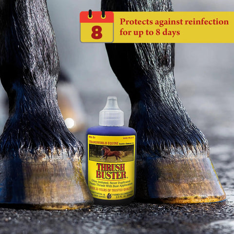 Hoof Care Liquid for Horses Thrush Treatment with Purple Stain Formula Easy to Apply to Keep Hooves Healthy in Wet or Muddy Conditions 2 Oz