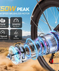 Powerful 1000W Peak Step-Through Electric Bike For Adults, 23 MPH Top Speed And 80 Mile Range, 65Nm Torque, Smooth Hills Climb, Go-To Commuter For Daily Errands And Weekend Adventures rear wheel motor detail