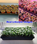 Ten Pack Heavy Duty 1020 Seed Trays Set Extra Thick Plastic Flats For Seed Starting Microgreens And Transplants holding plants