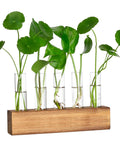 Propagation Station Terrarium With Wooden Stand And Five Glass Test Tubes Vases For Home Office Desk Decor A Cute Gift