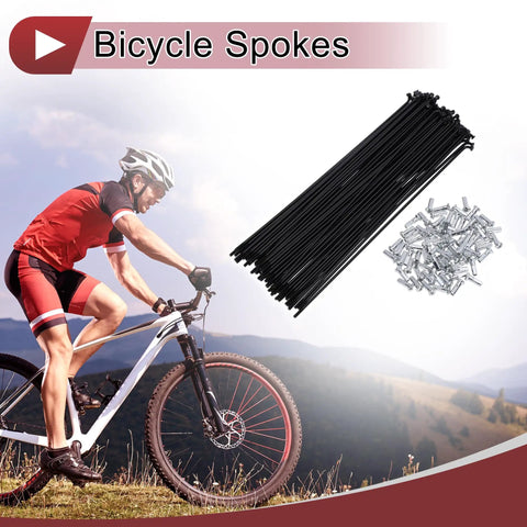 Cyclist riding beside 72 Set 13G Bicycle Spokes 197mm Black Carbon Steel Wheel Spokes With Galvanized Nipples for bike wheels.