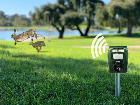 Solar Ultrasonic Animal Repellent With Motion Sensor Waterproof IP65 Outdoor Pest Deterrent set in grass near a lake, with rabbits fleeing