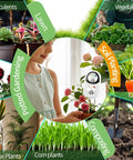 Collage of gardening activities with 2-In-1 Soil Moisture And pH Test Kit With Dual Dial Meter for versatile plant care.