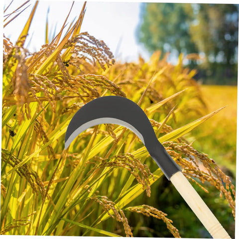 Heavy Duty Weeding Scythe With Long Handle For Garden Weeding And Cultivating, Manganese Steel Blade, Comfortable Grip shown in a field