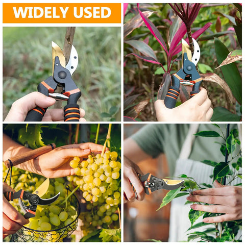 Hands using Workhorse Ultra Sharp 8.5 Inch Bypass Pruning Shears For Garden Use With Titanium Coated SK5 Steel on plants and grapes