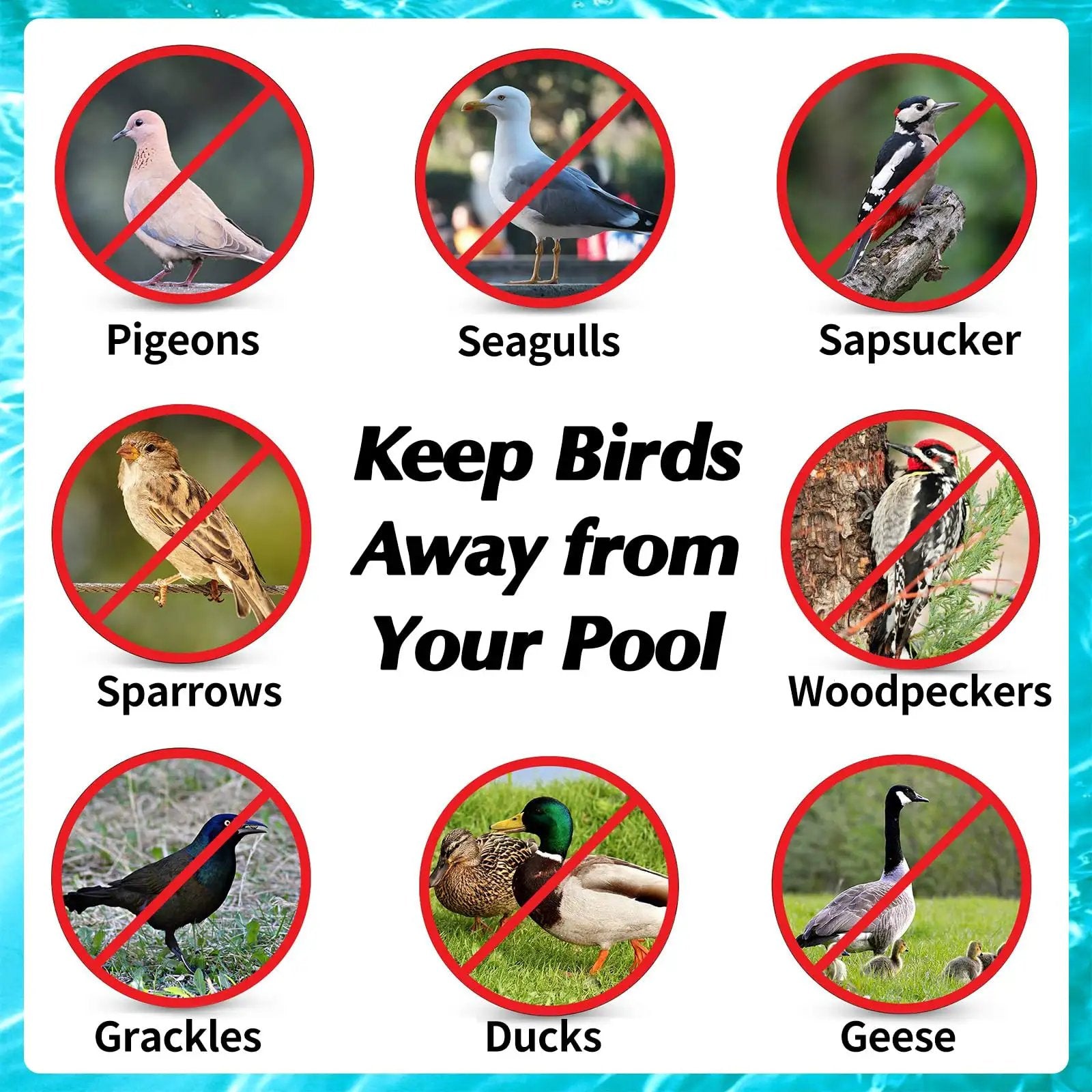 Floating Reflective Windmill Bird Deterrent For Pools ✓