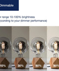 Oversized Vintage Dimmable LED Edison Bulb With Smoke Glass Globe 7W 2700K Soft White showing dimming range from 10% to 90% brightness