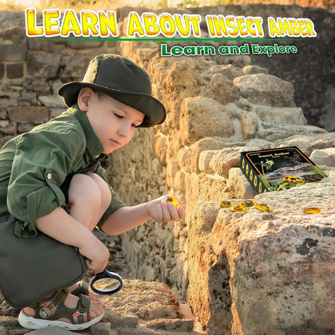 Child examining Amber Dig Kit With Real Insects Encased In Resin Excavate Six Fossil Insects for STEM learning outdoors.
