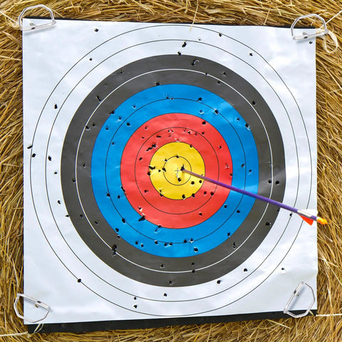 Archery target secured with 24 Pack 6 Inch Archery Target Pins With Loop Handle Built Tough Stainless Steel Ground Stakes Outdoors