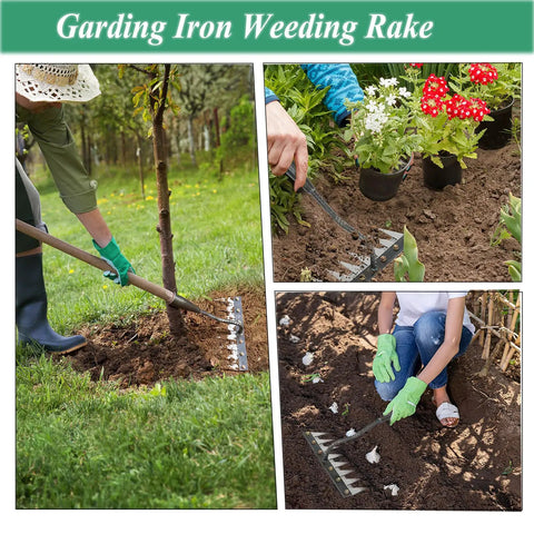 Upgrade Iron Weeding Rake 2.0 with Eight Teeth Manual Weeder in use for gardening and weeding aids, lawn dethatching garden tool