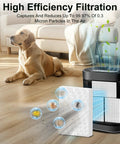 Air purifier with Six Pack Replacement Filters For Honeywell HPA Series in a room with a dog, showing filtration process.