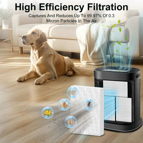Air purifier with Six Pack Replacement Filters For Honeywell HPA Series in a room with a dog, showing filtration process.