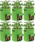 6 Pack 10 Gallon Potato Grow Bags with View Window, green fabric plant pots, showing growing plants and harvest window, handles visible