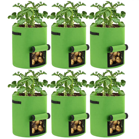 6 Pack 10 Gallon Potato Grow Bags with View Window, green fabric plant pots, showing growing plants and harvest window, handles visible