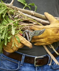 Front view of Corona BP 3180D forged classic bypass pruner with red accents held by gloved hands among branches