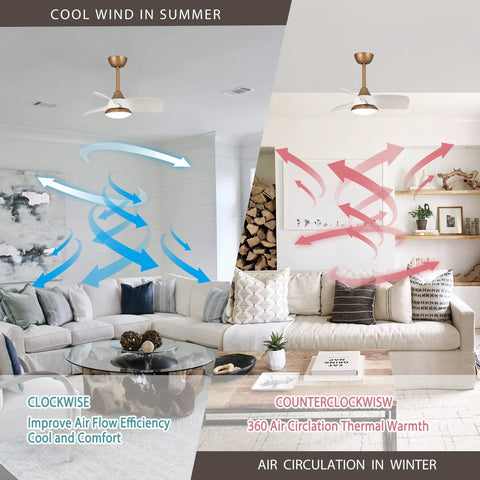 Compact Ceiling Fan With Remote And LED Light For Bedroom And Covered Patio 28 Inch Three Blade Brass Body Quiet Energy Efficient Motor No Fuss Install Ideal For Small Rooms And Outdoor Covered Spaces visualizing air circulation in summer and winter.