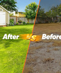 Side-by-side comparison of a green lawn after using the manual lawn aerator tool versus a dry lawn before use.