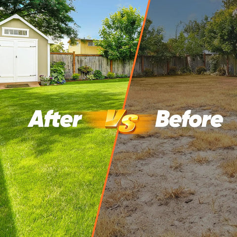 Side-by-side comparison of a green lawn after using the manual lawn aerator tool versus a dry lawn before use.