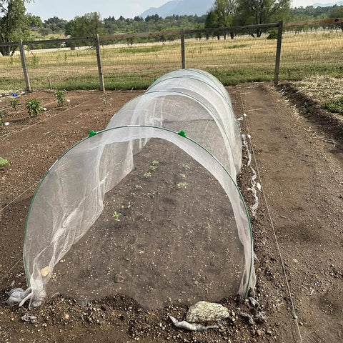 Fiberglass Garden Hoops For Raised Beds Pack Of Six Sets 8 Foot Heavy Duty Rust Proof Grow Tunnel Frames For Garden Netting Row Cover Shade Cloth Protect Outdoor Plants Tough As Nails Easy Setup For Greenhouse And Outdoor Gardens