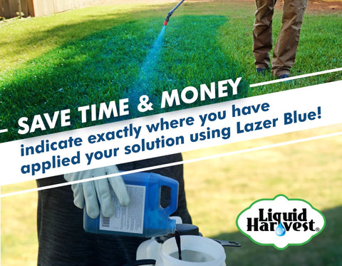 Liquid Harvest Lazer Blue 32 oz lawn marking dye sprayed onto grass by a handheld sprayer