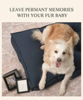 Paw Print Keepsake Kit For Dogs And Cats, Easy No Knead Aluminum Mold With Black Leather Display Box beside dog on bed