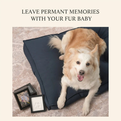 Paw Print Keepsake Kit For Dogs And Cats, Easy No Knead Aluminum Mold With Black Leather Display Box beside dog on bed