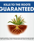 Illustration showing plant roots being killed by All In One Weed And Grass Killer With Pump N Go Sprayer For Use In And Around Flower Beds.