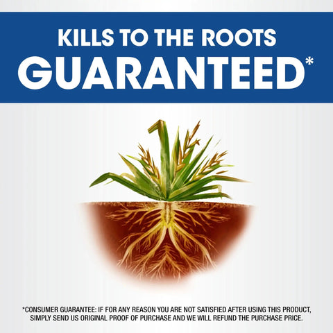 Illustration showing plant roots being killed by All In One Weed And Grass Killer With Pump N Go Sprayer For Use In And Around Flower Beds.