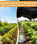 Beefy 70 Percent Shade Cloth For Garden Black Mesh Tarp 6.5 By 10 Feet Outdoor Sun Shade Net in use over plants.
