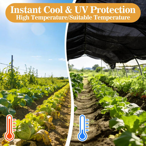 Beefy 70 Percent Shade Cloth For Garden Black Mesh Tarp 6.5 By 10 Feet Outdoor Sun Shade Net in use over plants.