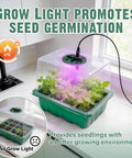 Six Pack Seed Starter Kit With Grow Light And 72 Cell Plant Starter Trays 3.9 Inch Humidity Dome Reusable Indoor Germination Tray