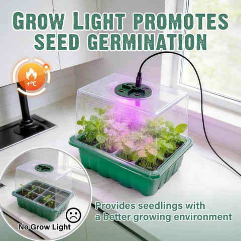 Six Pack Seed Starter Kit With Grow Light And 72 Cell Plant Starter Trays 3.9 Inch Humidity Dome Reusable Indoor Germination Tray