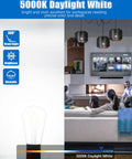 10 Pack Vintage Edison LED Bulbs E26 Dimmable 5.5W 60W Equiv Daylight White 5000K ST19 Clear Glass in living room setting