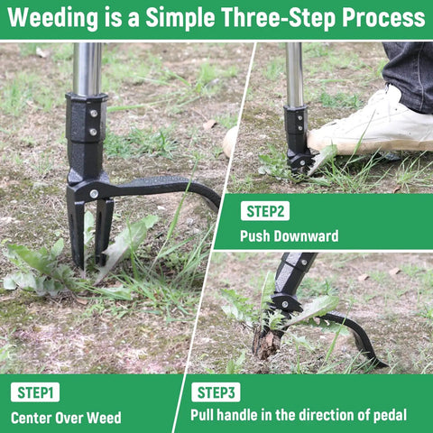 46 Inch Stand Up Weed Puller Tool, 4 Claw Weeder With Adjustable Handle demonstrating 3-step weed removal process on lawn