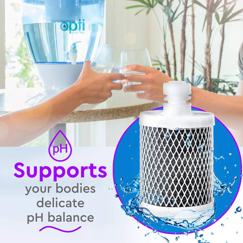 Alkaline Replacement Water Filter For Home Use, Easy Install And 200 Gallons Of Clean, Great Tasting Water, Raises pH To 9.0