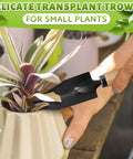 Mini 3 Piece Garden Tool Set With Trowel Shovel And Hand Rake For Indoor Plants Rust Resistant Iron And Solid Wood Handles