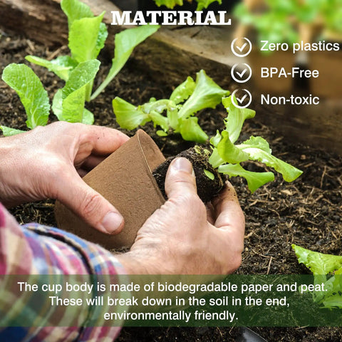 Hands placing a seedling into soil with a 3.15 inch biodegradable peat pot, part of the 40 Pcs 3.15 Inch Eco Friendly Biodegradable Peat Pots Seedling Starters Kit With 10 Labels For Flowers Vegetables Tomatoes Saplings And Herbs Germination Trays Khaki, surrounded by young plants.