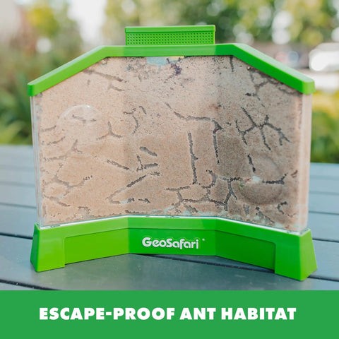Ant Factory Classroom Ant Farm With Live Ants For Hands On STEM Learning At Home Kids Science Kit Escape Proof Habitat With Large Viewing Area