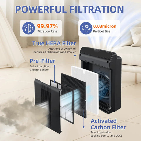 Exploded view of 116130 HEPA Filter H For 5500 2 AM80 Plasmawave Air Purifier Replacement Pack, showing HEPA and carbon filters.