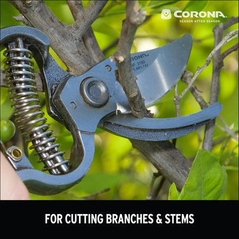 Corona BP 3180D blue forged classic bypass pruner cutting a branch; 1-inch cutting capacity, close-up view