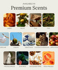 Image showing premium scents including Amber, Grove, Teak, Pine, Open Air, Cabana, Great Wave, Coconut & Pistachio, Apple Picking, Frosted Spruce, John Wick, Macadamia Swirl, Fresh Pressed